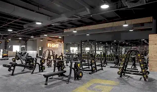 Wellfit Gym Exercises (1)