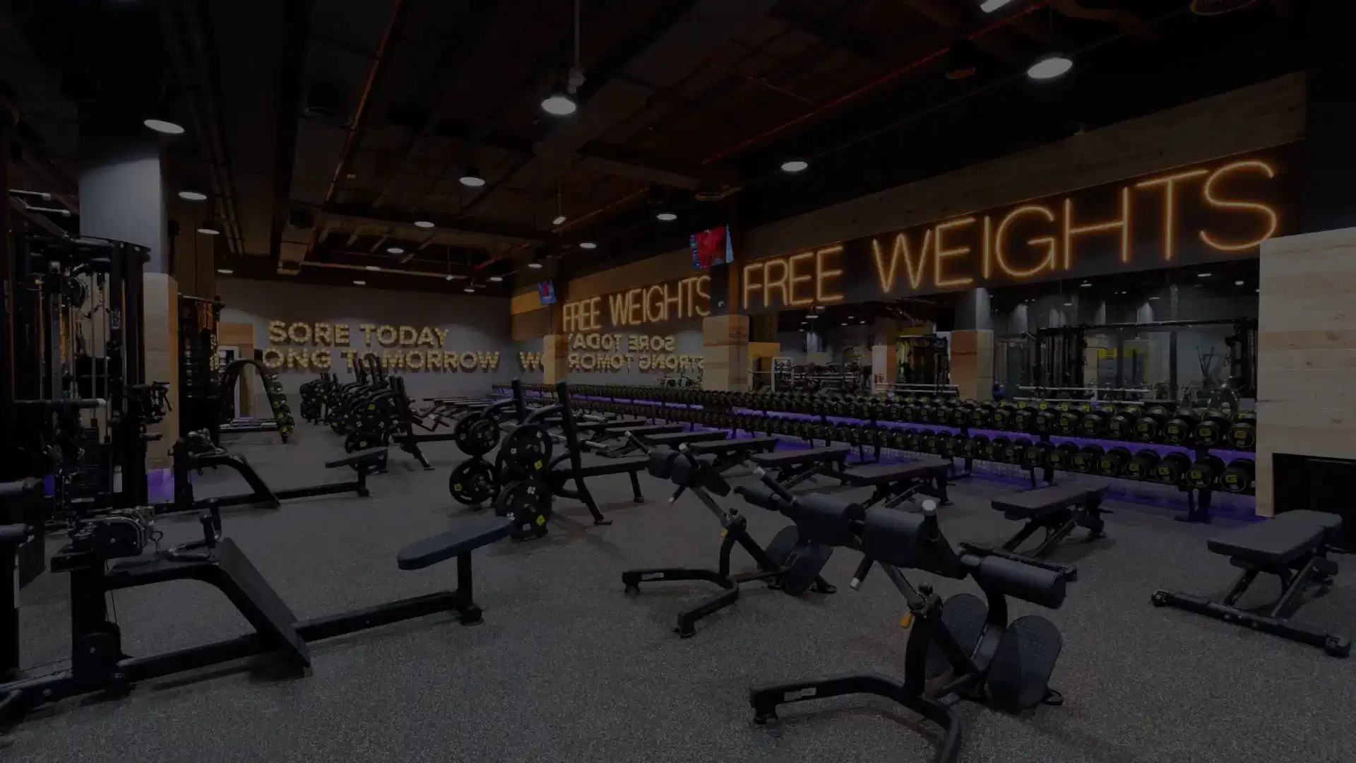 Gymnation Exercise