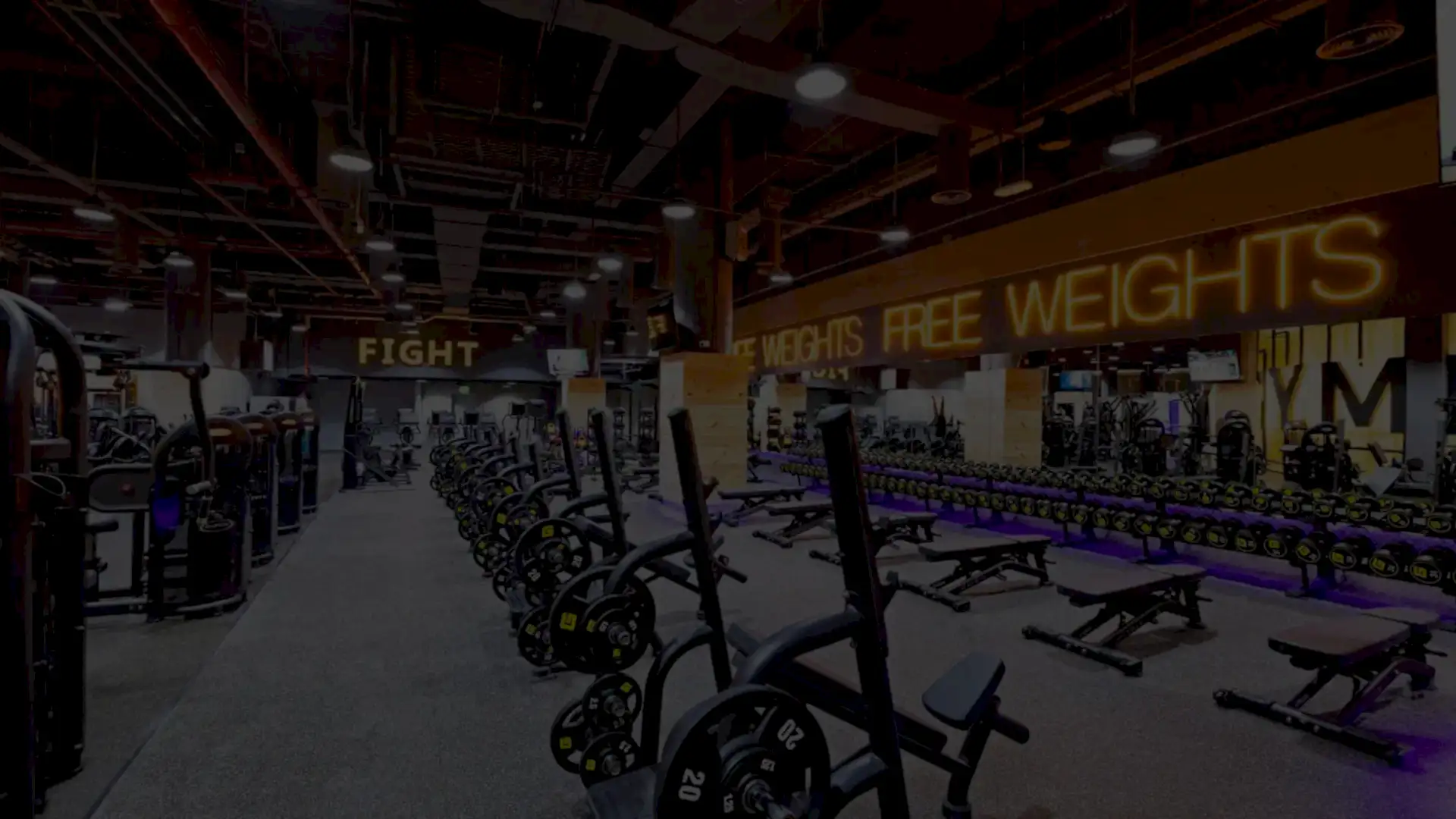 Gymnation Exercise