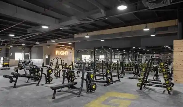Wellfit Gym Exercises