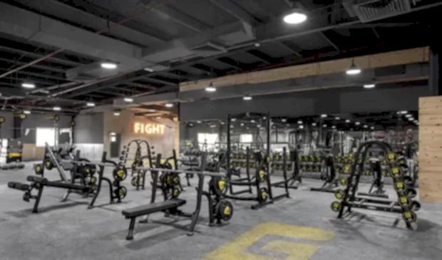 Wellfit Gym Exercises
