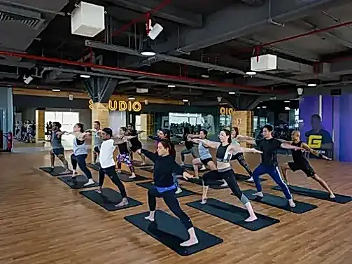 yoga classes at gymnation