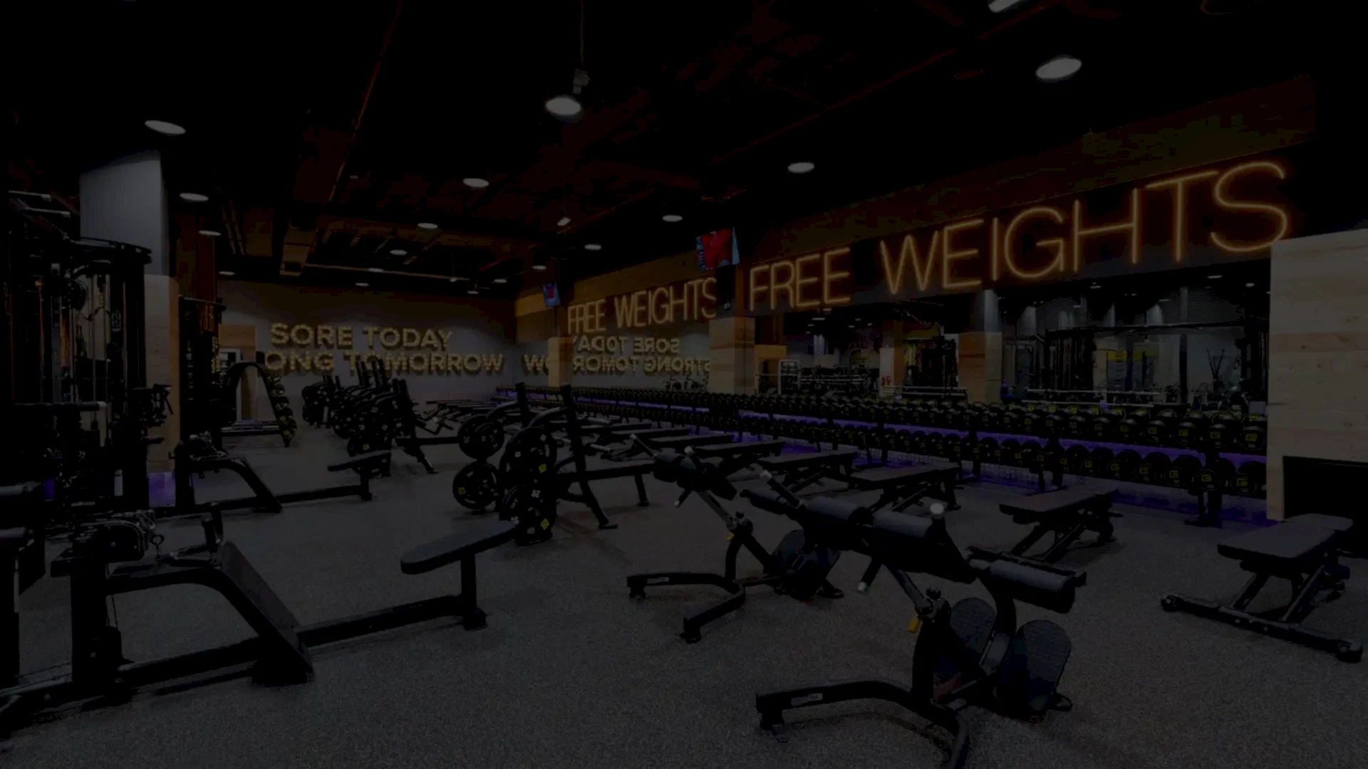 Gymnation Exercise