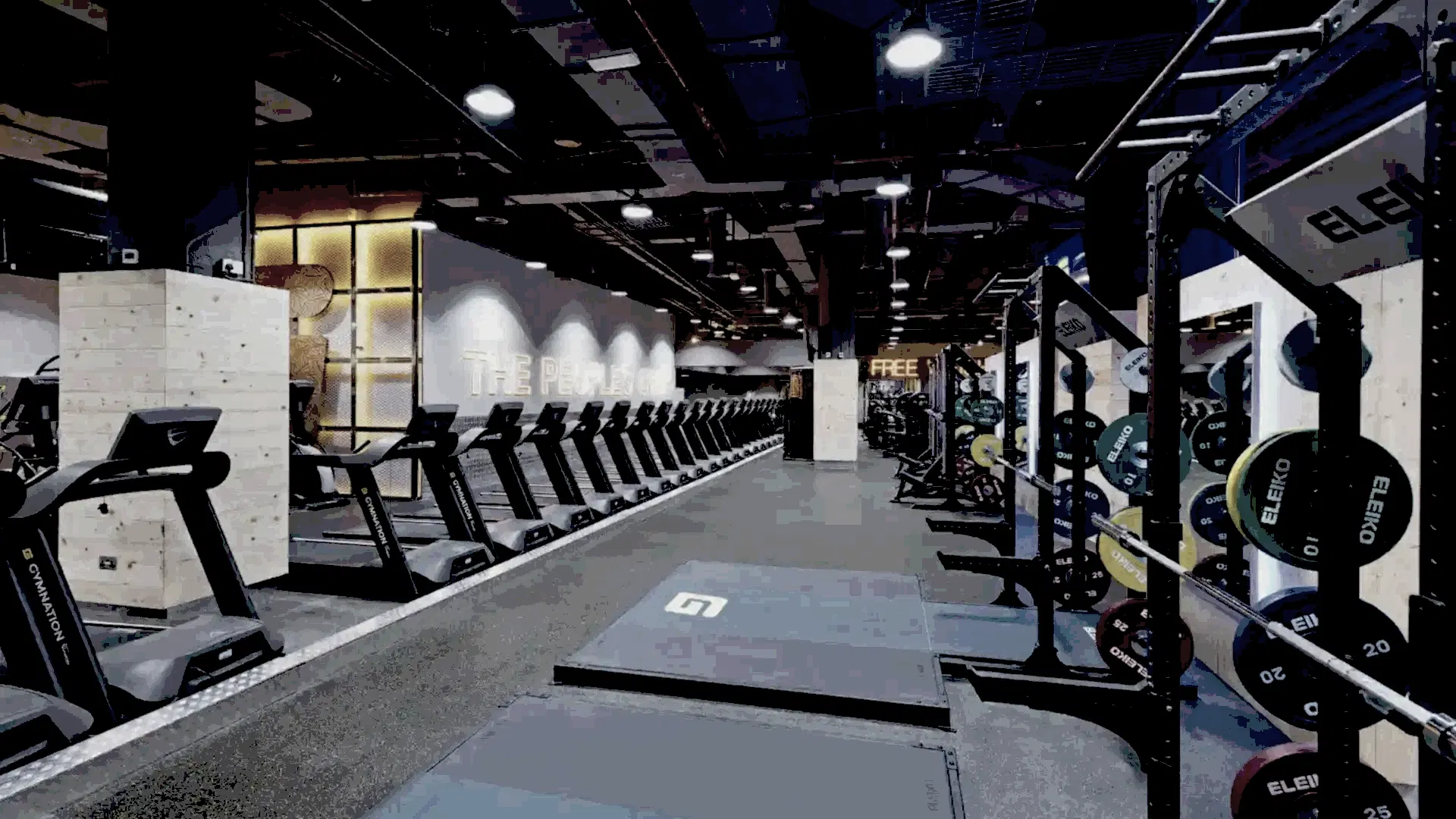 Gymnation Exercise
