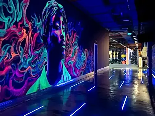 Gym's wall designs