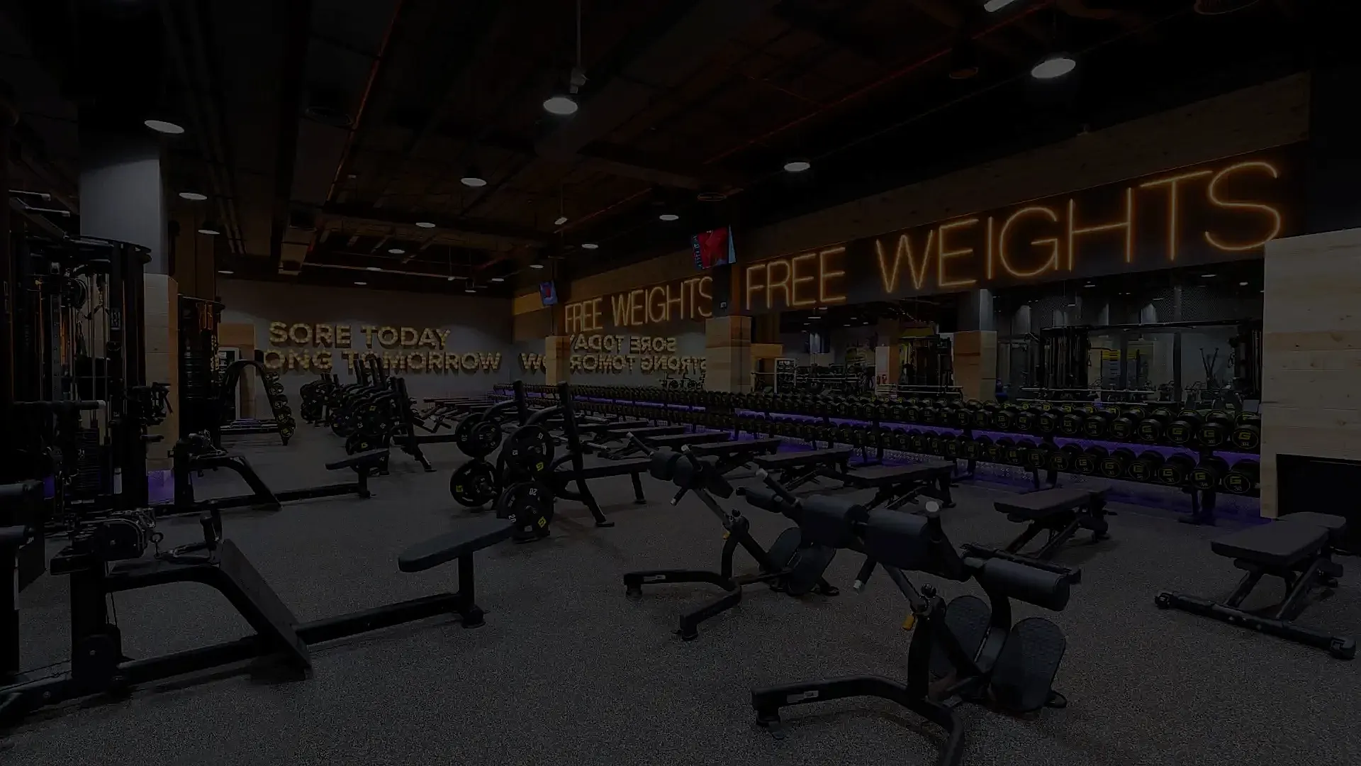 Gymnation Exercise