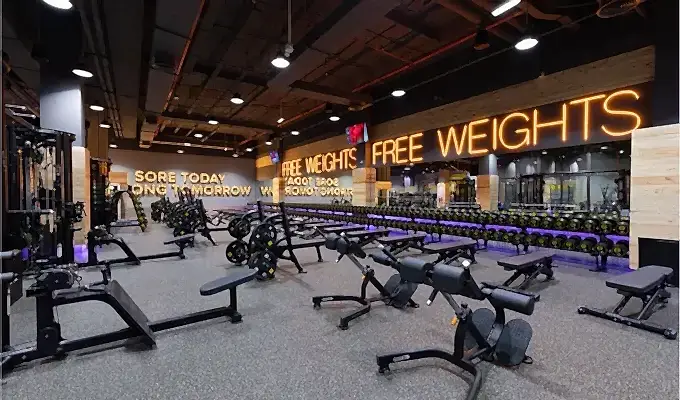 Gymnation Mega Mall Mens Free Weights