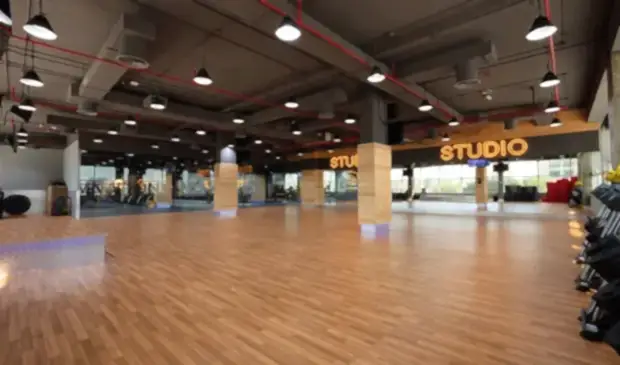 Studio Mc (1)