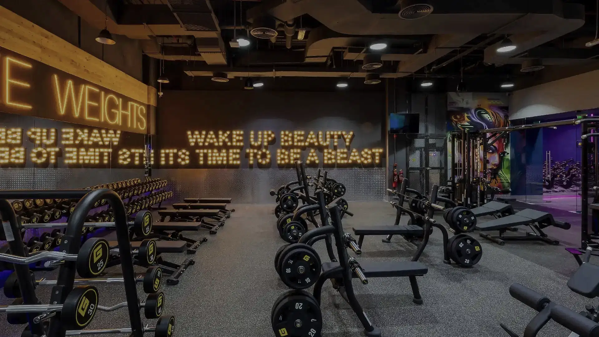 Gymnation Exercise
